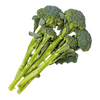 Baby Broccoli