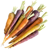 Baby Rainbow Carrots