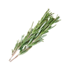 Rosemary